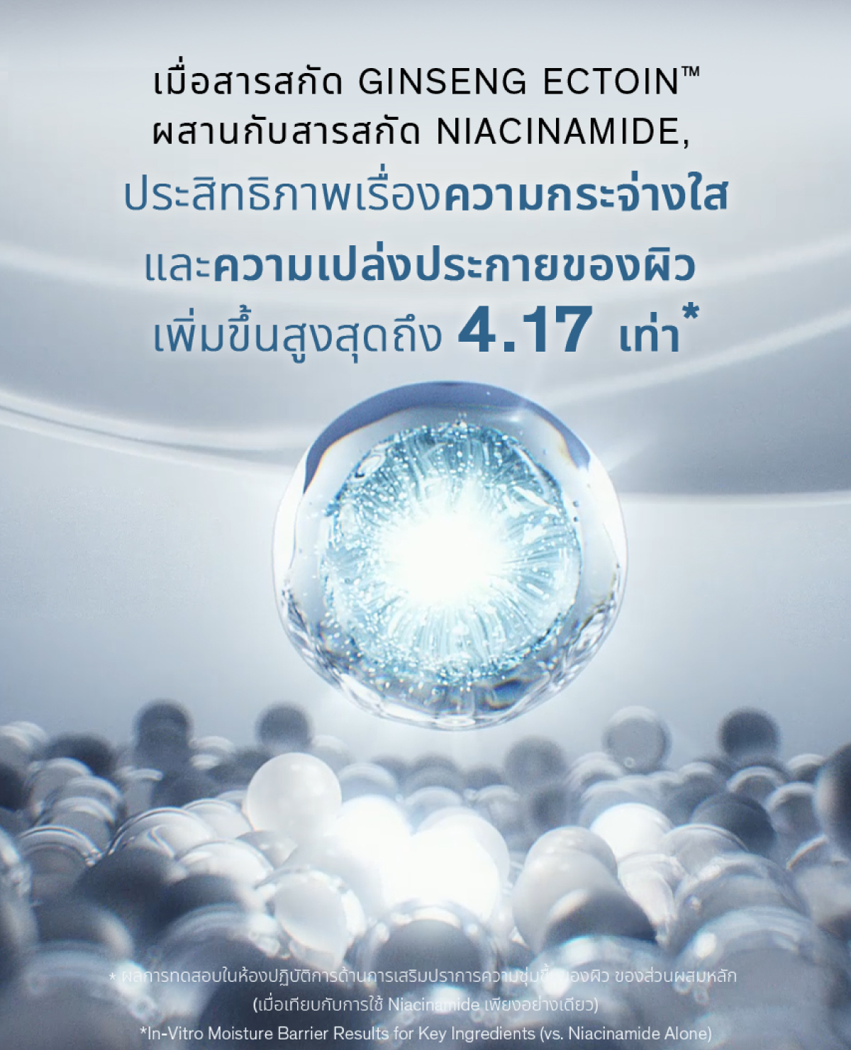 รายละเอียดสินค้า