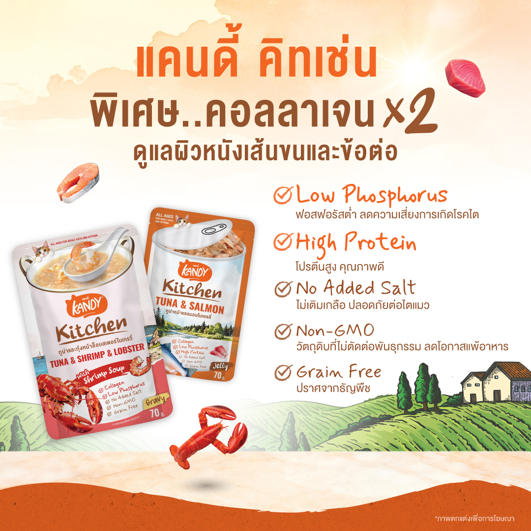 Kandy Kitchen Cat Wet Food อาหารแมวแคนดี้ ชนิดเปียก ขนาดซองละ 70 กรัม ...