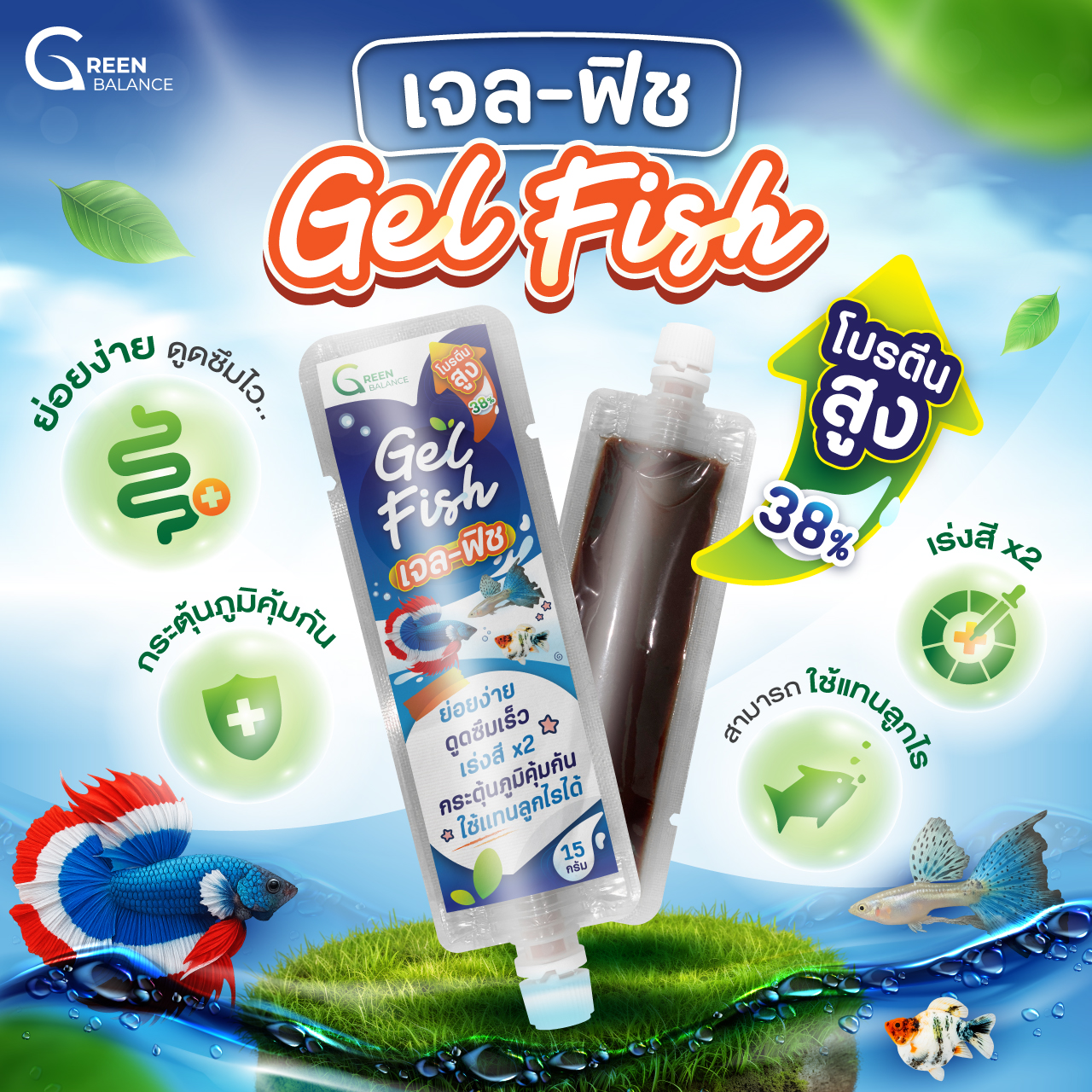 Gel Fish (เจล-ฟิช) อาหารปลารูปแบบเจล โปรตีนสูง ดูดซึมเร็ว เร่งสี ...