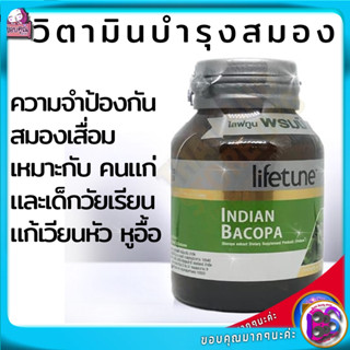 วิตามินบํารุงสมอง ความจำ วิตามินบํารุงสมอง คนแก่ วิตามินบำรุงประสาท วิตามินบํารุงสมอง วัยเรียน เพิ่มสมาธิ