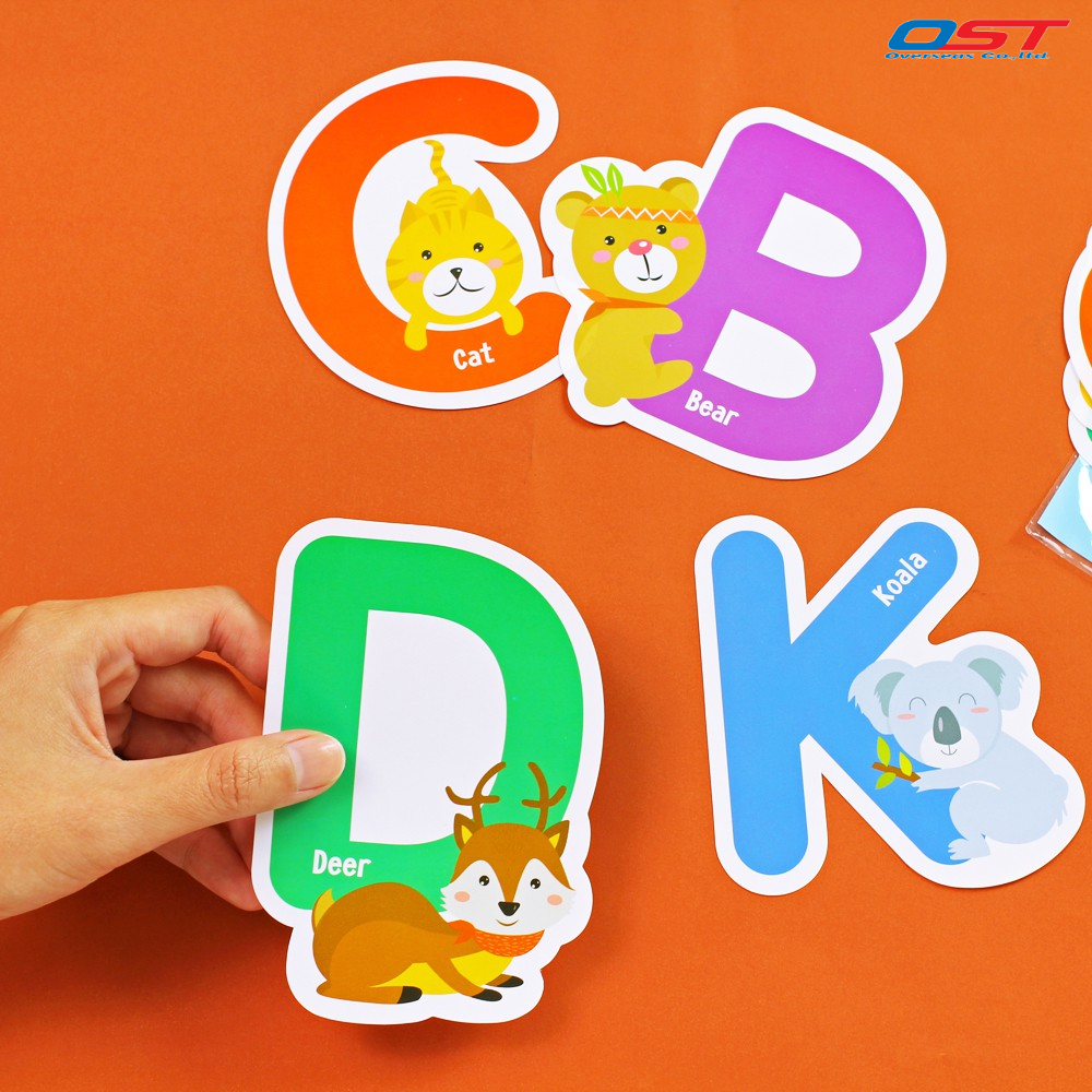 ชุดจัดบอร์ด ชุด ABC ตัวอักษรภาษาอังกฤษ พร้อมภาพการ์ตูนและคำศัพท์ สื่อตก ...