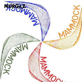 NURGAZ เปลญวน, เปลญวนชายหาด, ชิงช้ากลางแจ้ง, ถุงตาข่ายเชือกไนล่อน, มีไว้สำหรับตั้งแคมป์, เหมาะสำหรับการพักผ่อน, วันหยุด, ปาร์ตี้, หอพักผู้ใหญ่, สิ่งประดิษฐ์ในหอพัก, เก้าอี้แขวนในร่มและกลางแจ้ง, ชิงช้า