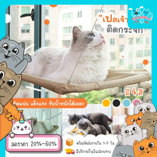 เปลแมว เปลแมวติดกระจก ขนาดใหญ่ 55x35ซม. รับน้ำหนักได้ถึง 15 kg ที่นอนแมว บ้านแมว ของเล่นแมว เปลสัตว์เลี้ยง