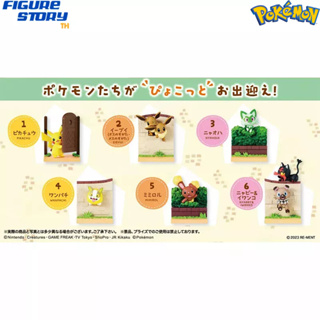 *Pre-Order*(จอง) Pokemon Pyokotto Waited For You! Collection 6Pack BOX (อ่านรายละเอียดก่อนสั่งซื้อ)