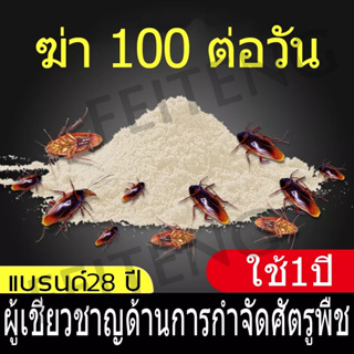 ฆ่าแมลงสาบ ที่ดักแมลงสาบ กับดักแมลงสาบ ยาฆ่าแมลงสาบ กําจัดแมลงสาบ ยากําจัดแมลงสาบ เหยื่อแมลงสาบ เหยื่อกําจัดแมลงสาบ