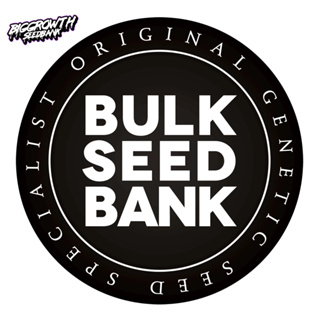 เมล็ดกัญชาเพศเมีย 100% โฟโต้ จำนวน 10เมล็ด ค่าย BulkSeedbank จากประเทศสโลวิเนีย