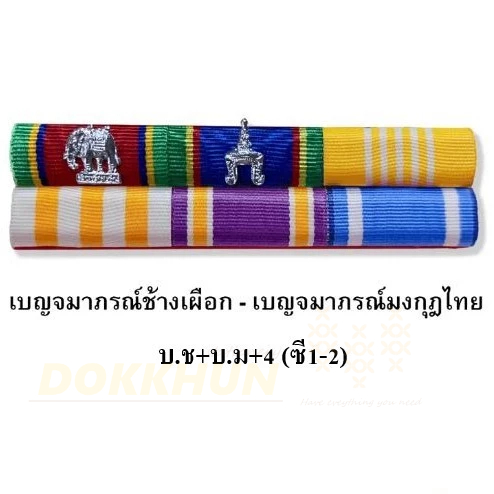 แถบย่อ-แบบใหม่-มีทุกระดับชั้น-แบบเข็มกลัด-แพรแถบ-แพรสี