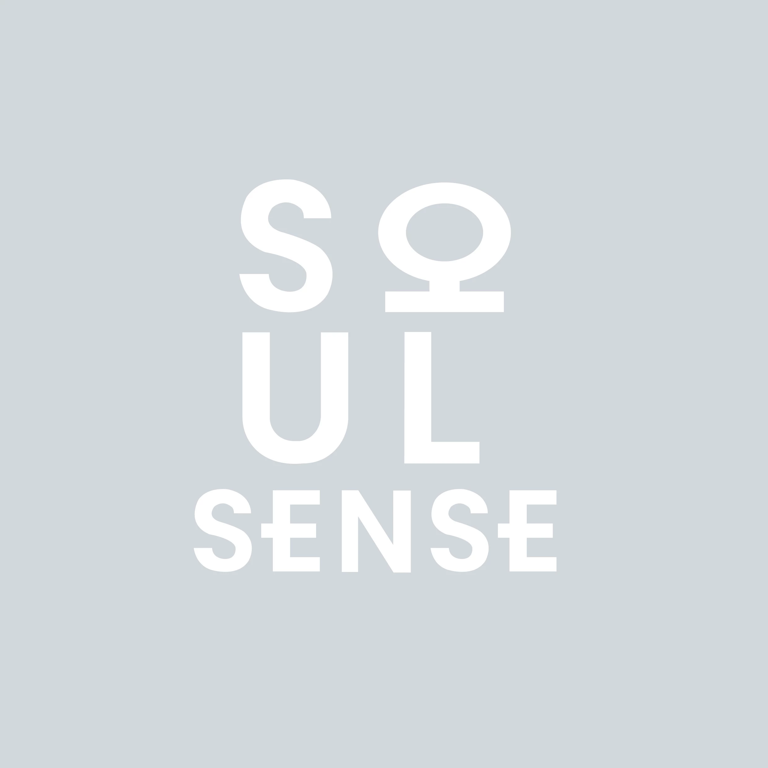 SOUL SENSE 