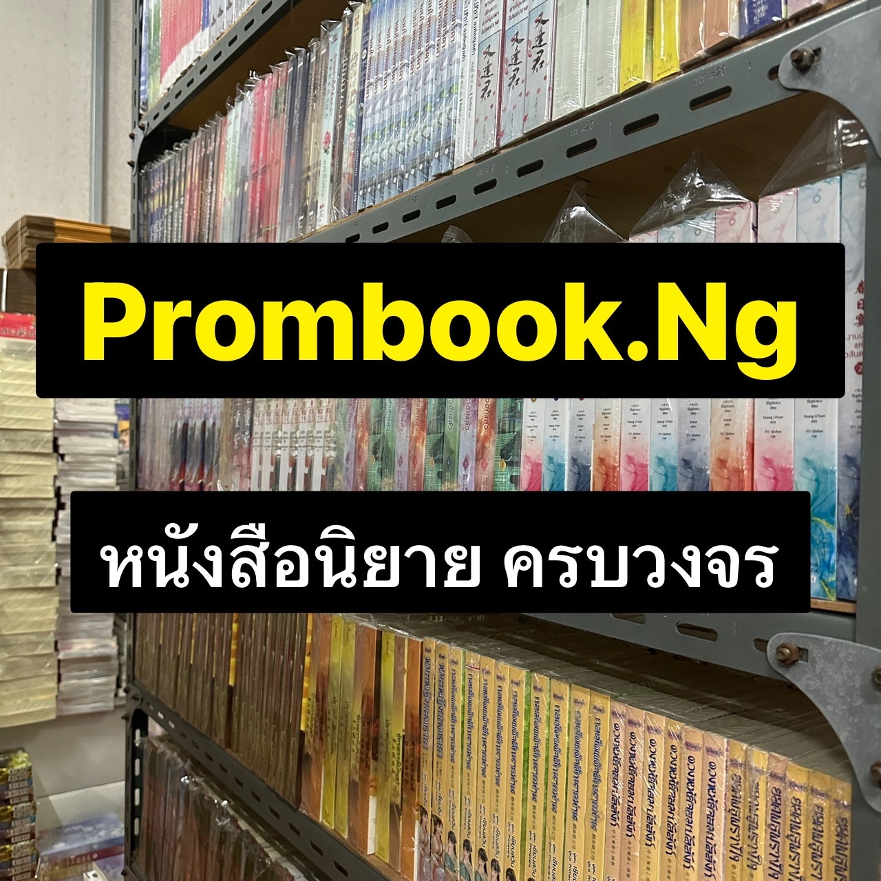 นิยายมือ 1 ราคาถูก สภาพ 97% | Shopee Thailand