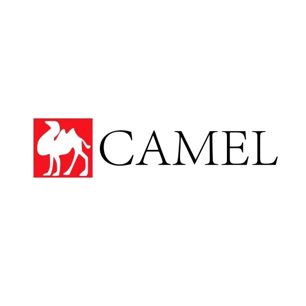 โลโก้ร้าน CAMEL Electric