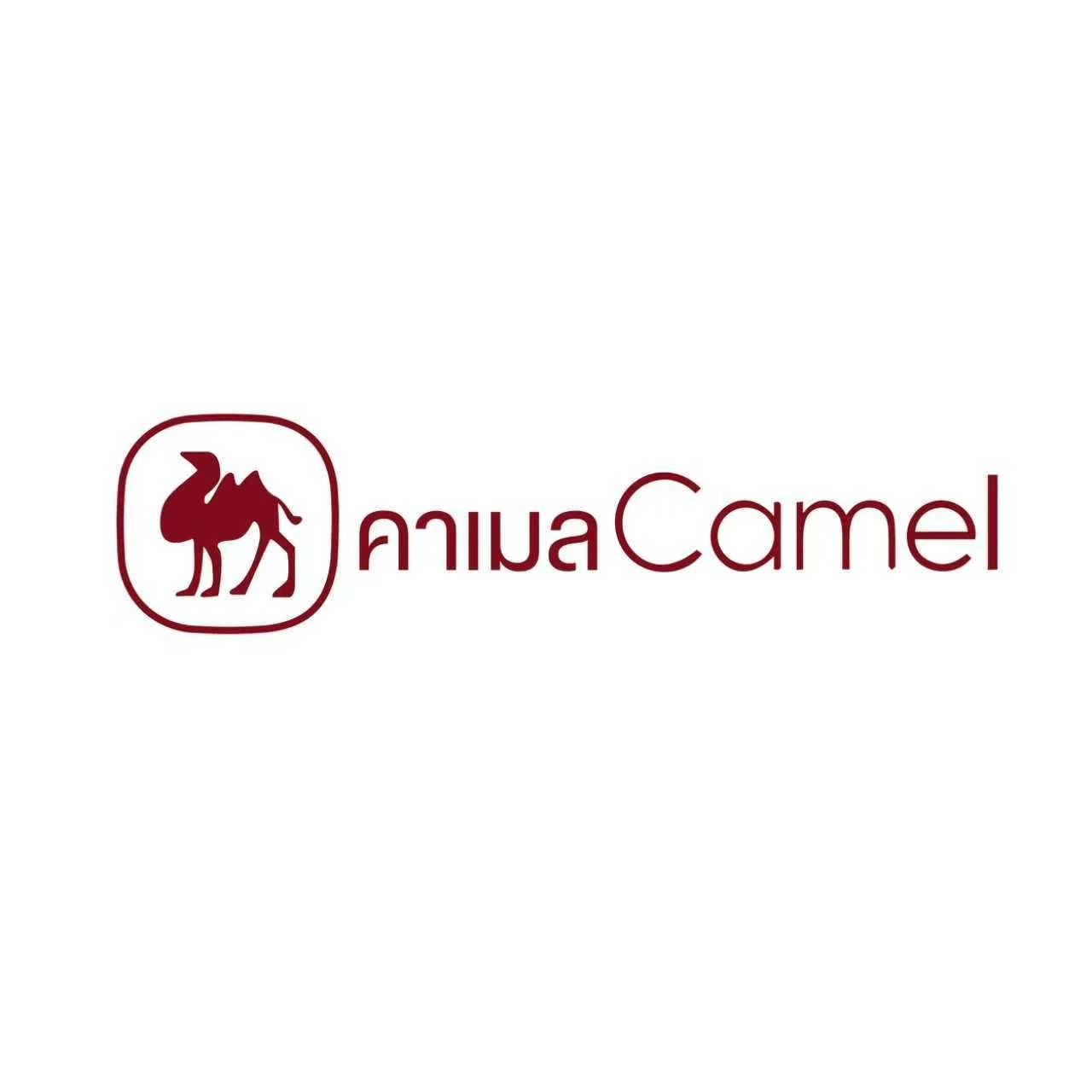 โลโก้ร้าน CAMEL Electric