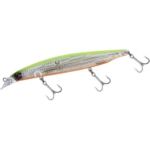 daiwa shoreline shiner z vertice r laser impact 125f il max laser Aparejo de pesca Canas Pesca|Currican es