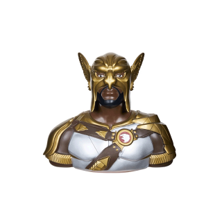 โปรโมชั่น : Hawkman Special Cup แก้วฮอว์ค แมน