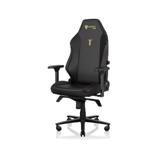 Secretlab TITAN Evo เบาะหนัง Hybrid NEO™️ —สีดำ โลโก้ทอง (Stealth)