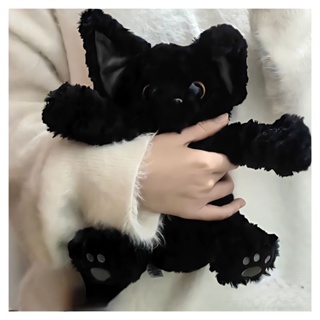 Tik Tok Plemi Cat KUKI ตุ๊กตายัดนุ่น รูปแมว Kachidevin หยิก สีดํา ของเล่น ของขวัญวันเกิด