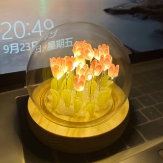 ภาพหน้าปกสินค้าโคมไฟกลางคืน รูปดอกทิวลิป ขนาดเล็ก แฮนด์เมด DIY ที่เกี่ยวข้อง