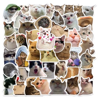 50pcs/set Cat Graffiti Stickers No Repetition PVC Material for Decorative Luggage Laptop Pen Guitar Notebook Waterproof Stickers Stationery