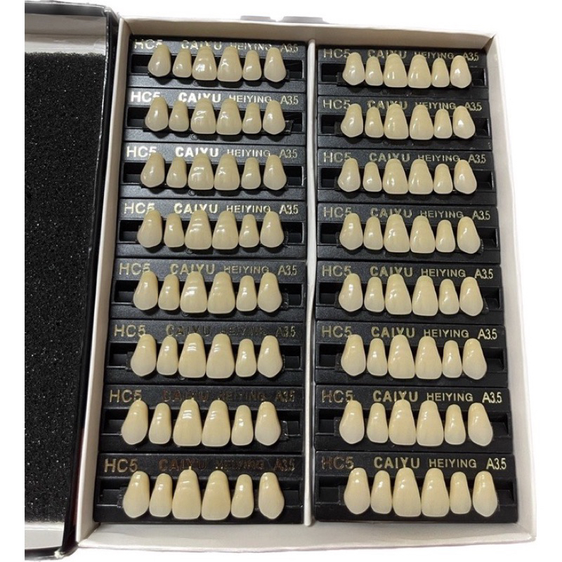 PREMOVABLE TEETH พุพอง 6R, 8R (ประตูกล่องนิรภัย, HAM TEETH) | Shopee ...